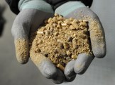 The Great Biomass Boondoggle