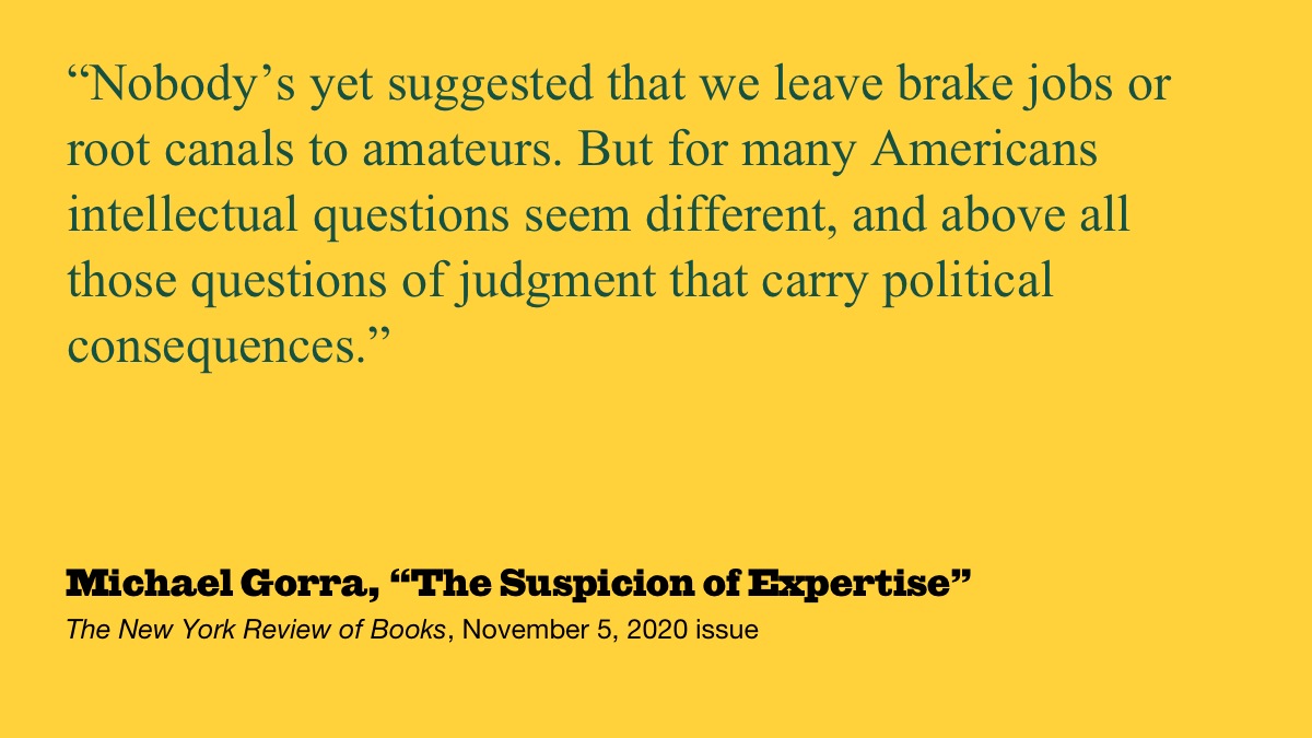 The Suspicion Of Expertise | Michael Gorra | The New York Review Of Books