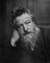 William Morris, Romantic Revolutionary